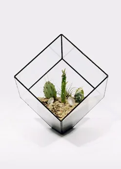 Five double diamond large geometric glass greenhouse plant micro landscape flowerpot container factory direct OEM