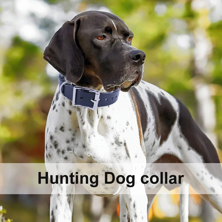 hunting dog collar.jpg