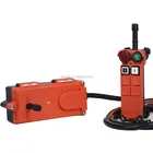 Electric Hoist Radio Remote Controls 2 Transmitter 1 Receiver AC 110v F21-2s