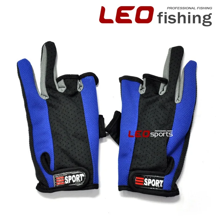 495399937_2050739421