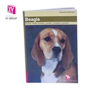 Softcover English Story picture Book Printing