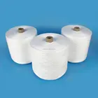 all counts 20/2 20/3 40/2 50/2 60/2 60/3 100% polyester spun yarn 18/1 24/1 24/2 30/2