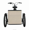 /product-detail/3-wheels-lady-trike-transporter-dutch-trike-price-60518863972.html