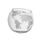 Rocks Glass For Scotch Rum Tequila Or Bourbon Old Fashioned Rocks Globe Glasses