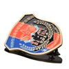 OEM Military Training School Uniform Badges Metal Unique Shield Shaped Enamel Gold Plated Patriotism Custom Memorable Badge Pin