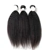 Hot selling Peruvian cuticle aligned kinky straight hair, 10-30inches virgin human hair weave