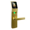 Hot sales Face recognition Fingerprint RFID Password Keypad Digital Door Lock,Biometric Fingerprint Door Lock With web ,cloud fu