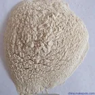 High enzyme activity Lipase for bread improver