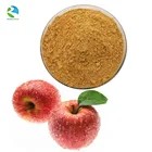 Fruit Extract Natural Fruit Extract Bulk Apple Polyphenols Extract