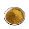 High quality Rheum Emodin 98% 99% HPLC Rhubarb Extract