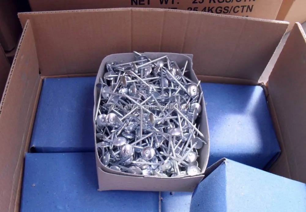 ツイストシャンク亜鉛メッキ屋根釘でプラスチックワッシャー/ビッグ傘ヘッド爪工場仕入れ・メーカー・工場