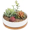 6.2 Inch Modern White Decorative Garden Flower Holder Pot Ceramic Succulent Cactus Plant Pot with Drainage Bamboo Tray