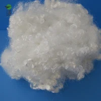7dx51mm Hollow Conjugated White Recycled Polyester