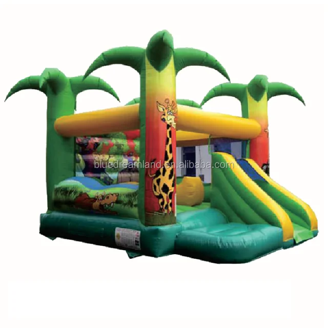 toy inflatable bouncer