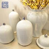 /product-detail/chinese-porcelain-decoration-white-vase-flower-modern-decoration-home-goods-decorative-ceramic-vase-60732489709.html