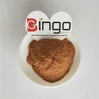 China Manufacturer Baking Ingredients Date Fruit Powder