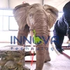 /product-detail/innova-zigong-animatronic-dinosaur-tiger-elephant-wholesale-roaring-silicone-rubber-tiger-animal-60771280930.html