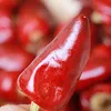 Manufacturer Chinese supply wholesale hot red bullet chili pepper