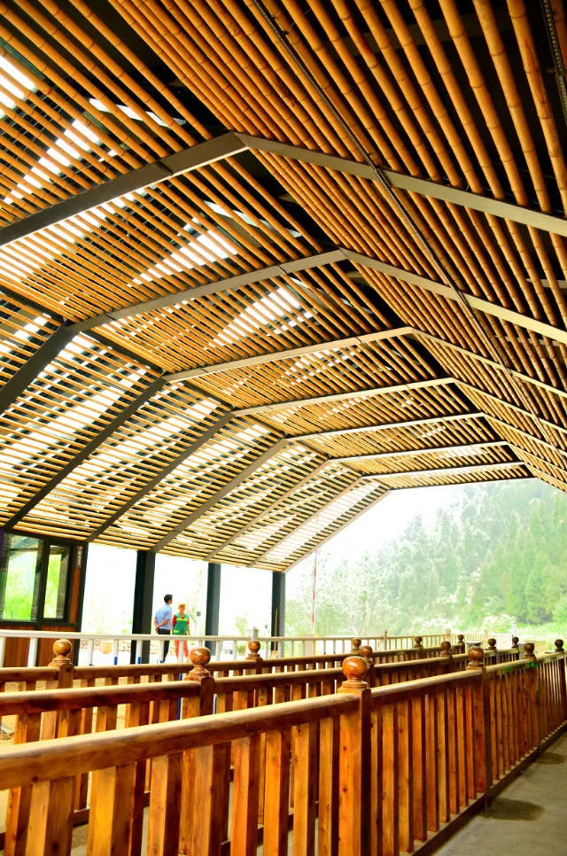 bamboo raft (3).jpg