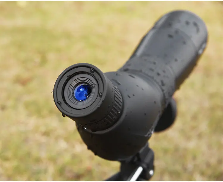 6616674280_2108484305