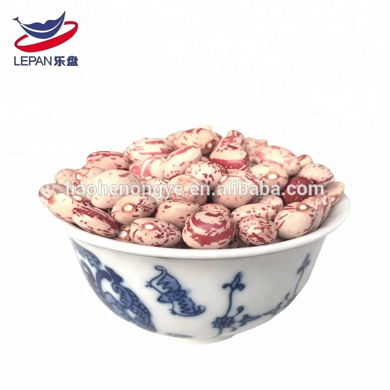 2017 Harvest LSKB/Light Speckled Kidney Beans/Organic Pinto Beans