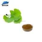 Good price ginkgo biloba memory enhancer With Good Quality