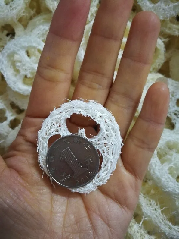 0000000000000000000000000000000000000000000000000000000000000000000000000000000000000000000000000000000000000000000000000000000000000000001 - 