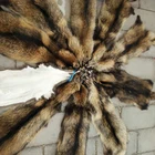 High Quality Natural Color Real Raccoon Dog Fur Skin Pelt
