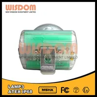 Low Color Temperature Pure White Lamp
