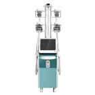 5 handles equipment freezer vertical fat freezing cryolipolysis machine 2019
