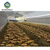 /product-detail/grow-tents-agricultural-mushroom-tunnel-greenhouse-60543500219.html