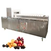 Hot sale Automatic section separating apple kiwi mango core slicing removing machine in china factory