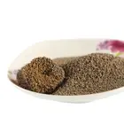 Easy Clean Remove Urine Odor Pet Bentonite Cat Litter