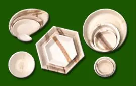 areca leaf products
