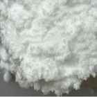 Food additive/Best quality Vanilla flavor powder Polar Bear Brand