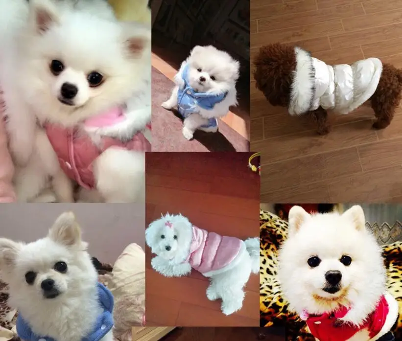 QQ20171206172641