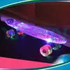 Free stock led light brand new skateboard land cruiser for sale