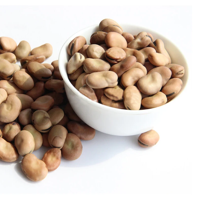grade een fava bonen tuinbonen voor koken - buy fava bonen tuinbonen