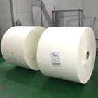 High Quality Paper Products Production Materials Pe Coated Paper Roll