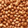 /product-detail/high-oleic-raw-peanuts-138275404.html