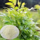 Chinese Natural Plant Extract Liver support Supplement Vine Tea Extract Dihydromyricetin powder 98%