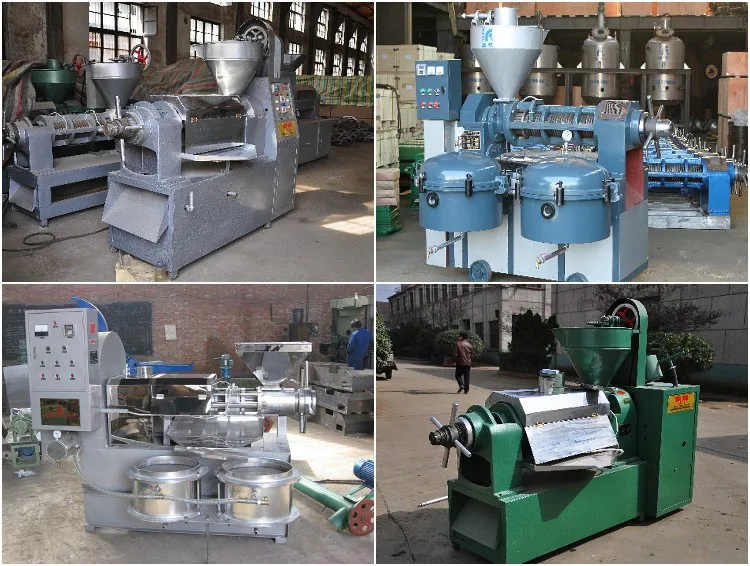 Factory price cactus seed argan oil press equipment for sales