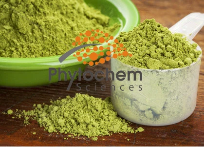 moringa leaves and weight loss