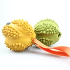 Pet Toys with Chew Toy Various Colors Dog Chew Toy Durian Shapes with Low Price