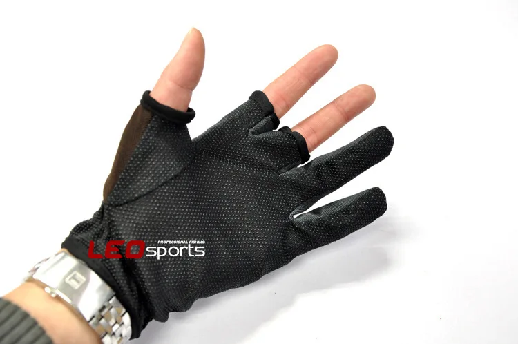 495399955_2050739421