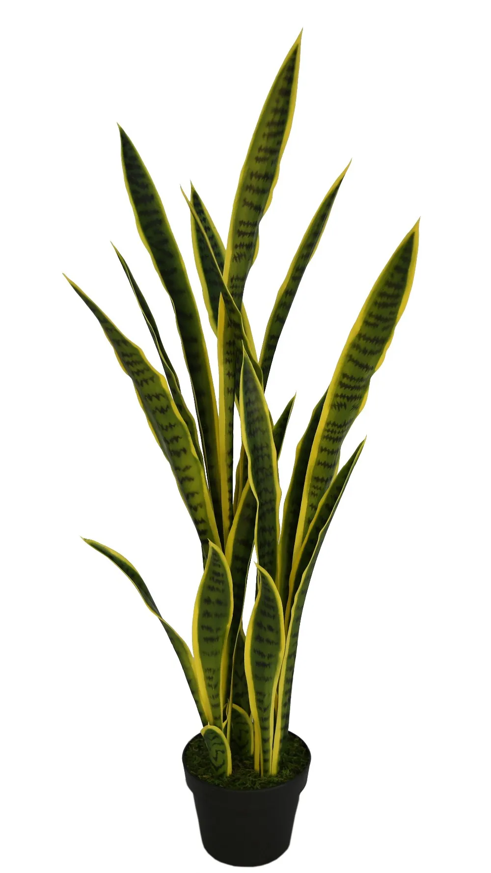 long life- no worry about color fade and blossom fall off    4.