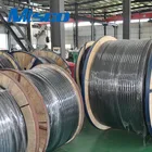 TP304 / 304L 1.4301 / 1.4306 Stainless Steel Welded Single-core Coiled Tube