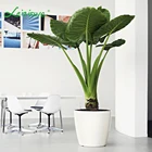 Planter Garden Plastic Pot Plant Small Plastic Flower Pot Planter Pots Garden Planting