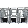 /product-detail/pig-equipment-sow-gestation-crates-for-individual-pig-60694766909.html