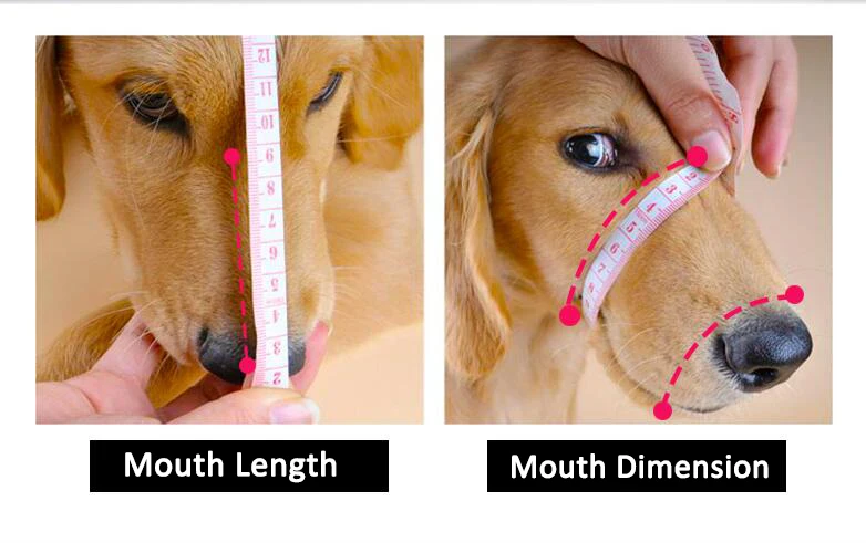 pet product pet supply dog muzzle